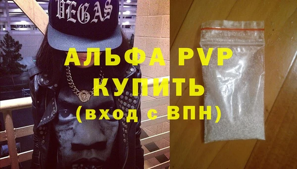 PSILOCYBIN Инсар