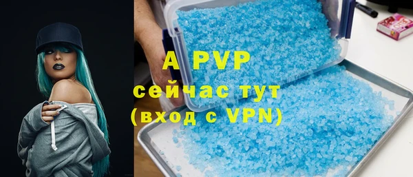 стафф Зеленокумск