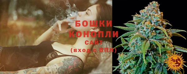 PSILOCYBIN Инсар