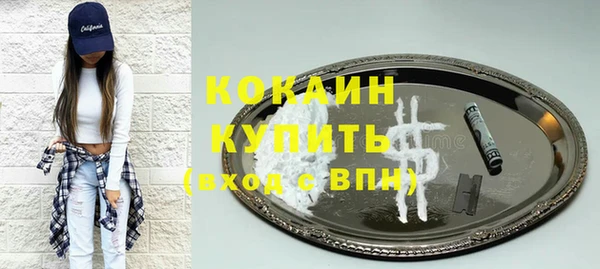 PSILOCYBIN Инсар