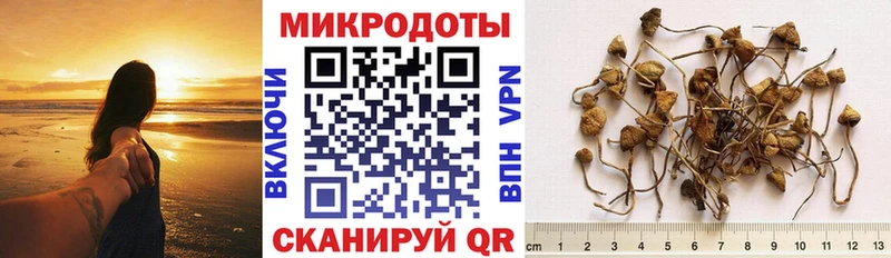 Псилоцибиновые грибы Psilocybe  Купить  Ликино-Дулёво 